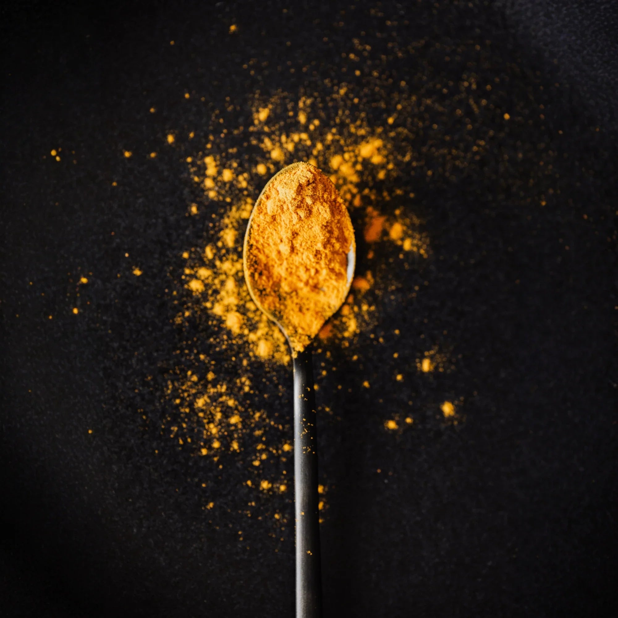 Especias del Mundo